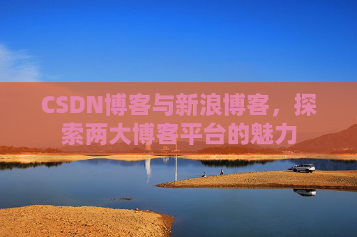 CSDN博客与新浪博客，探索两大博客平台的魅力